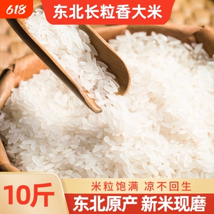 东北长粒香大米当季新米黑龙江粳米农家大米香米真空米饭新鲜袋装