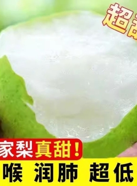 梨子新鲜包邮砀山青梨9斤皇冠梨水果翠冠梨蜜早雪梨整箱当季青皮