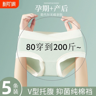 无痕短裤 莫代尔抗菌低腰托腹大码 头 怀孕期中晚期纯棉夏季 孕妇内裤