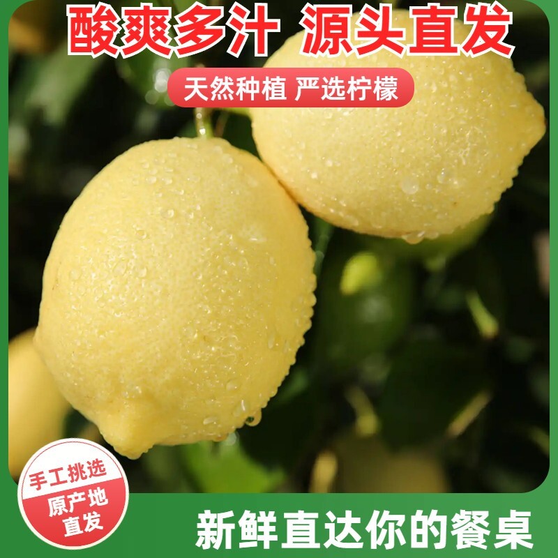 四川安岳当季新鲜黄柠檬水果整箱级无蜡薄皮包邮特产鲜柠檬现摘