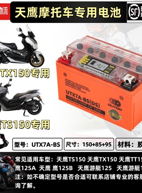 天鹰TX150TS150TT150TT250踏板摩托车通用电瓶锂大容量12V电池