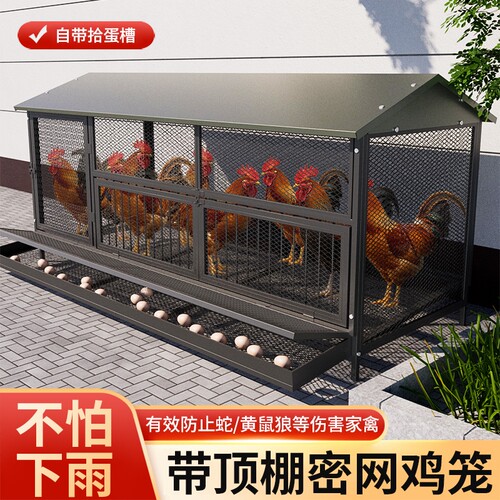 家用大号防鼠鸡笼|超1000次加购
