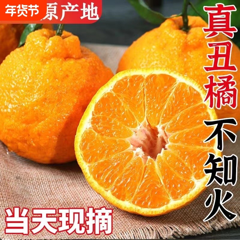 正宗四川不知火丑橘应当季新鲜水果丑八怪橘子耙耙柑整箱包邮现摘,水产肉类/新鲜蔬果/熟食,桔子,淘宝优惠券,粉丝福利购,淘宝优惠卷