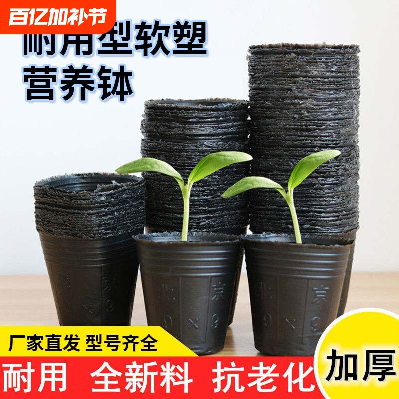 营养钵育苗杯一次性花盆种植盆塑料园艺花卉种子苗木育苗袋杯扦插