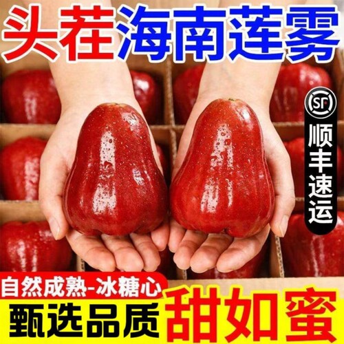 【顺丰京东】海南福建黑金刚莲雾精品大果脆甜多汁新鲜包邮孕妇果