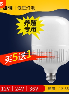 led低压灯泡12v灯led灯36V36伏24v灯交直流电瓶太阳能专用节能灯