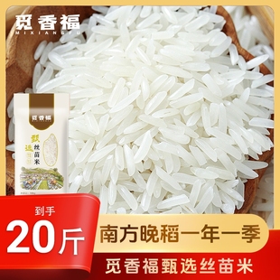20斤大米农家自种丝苗米新米长粒香新米猫牙米10斤