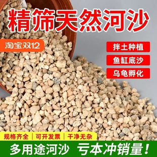 河沙粒精筛粗河砂多肉铺面石君子兰配土颗粒种植养花鱼缸造景底砂