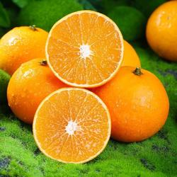 四川38号爱媛果冻橙皮薄多汁当天采摘直发孕妇儿童水果手剥甜橙