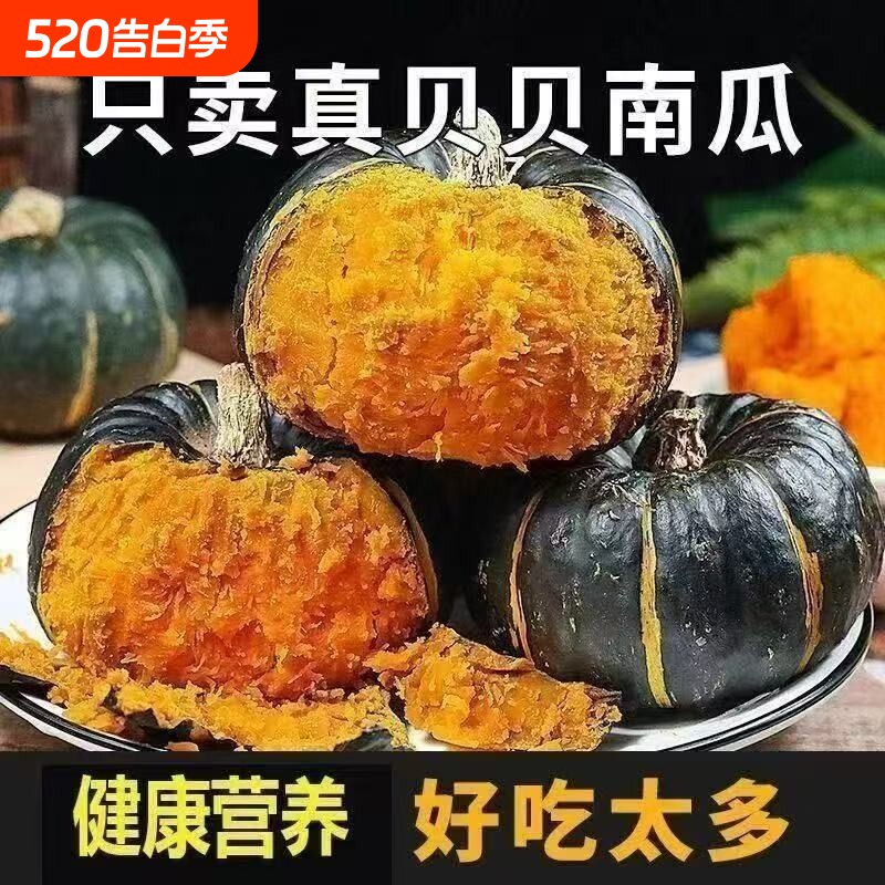 正宗真贝贝南瓜板栗味小南瓜孕妇辅食婴儿辅食小窝瓜新鲜南瓜包邮