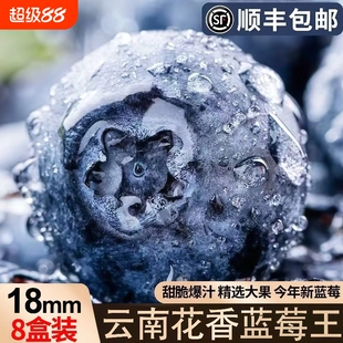 云南蓝莓高山L25花香新鲜水果现摘现发应季孕妇辅食包邮大果当季