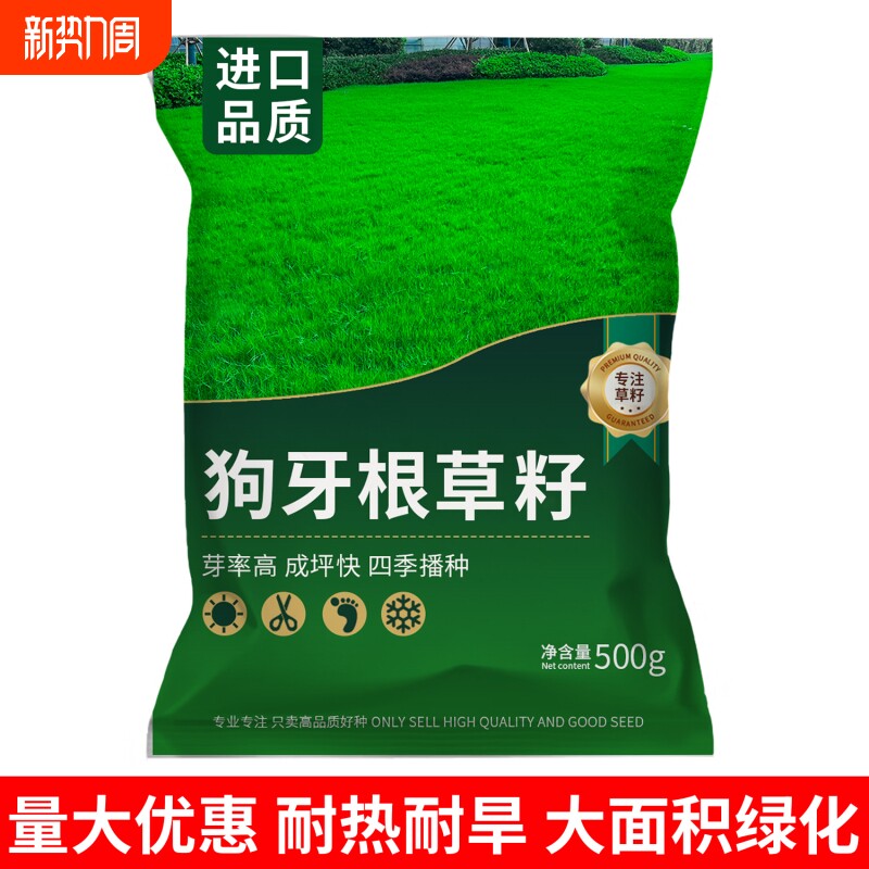 狗牙根草籽四季常青种籽公园绿化露营低矮耐踩踏草坪种子开花庭院