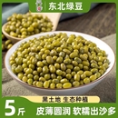 豆类 东北黑龙江绿豆农家新货可发芽新鲜颗粒绿豆粥绿豆糕原料当季