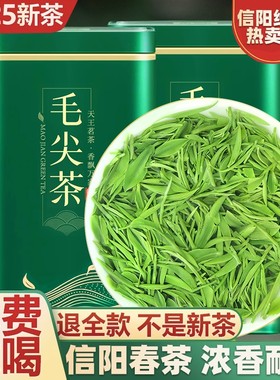 毛尖茶叶信阳春茶2026特级嫩芽浓香型绿茶散装礼盒装旗舰炒青明前