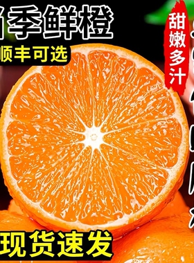 橙子伦晚脐橙湖北秭归新鲜10斤大果甜春橙榨汁手剥橙整箱当季水果