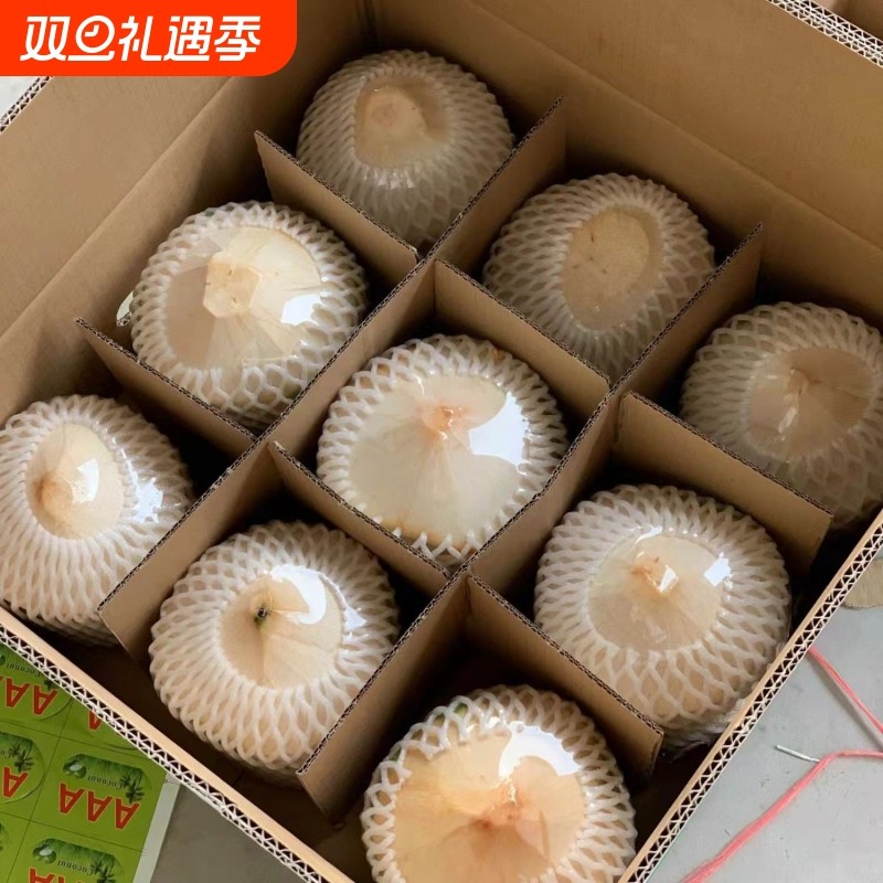 正宗海南椰青新鲜椰子2/4/6/9个装当季水果去皮一整箱特产包邮