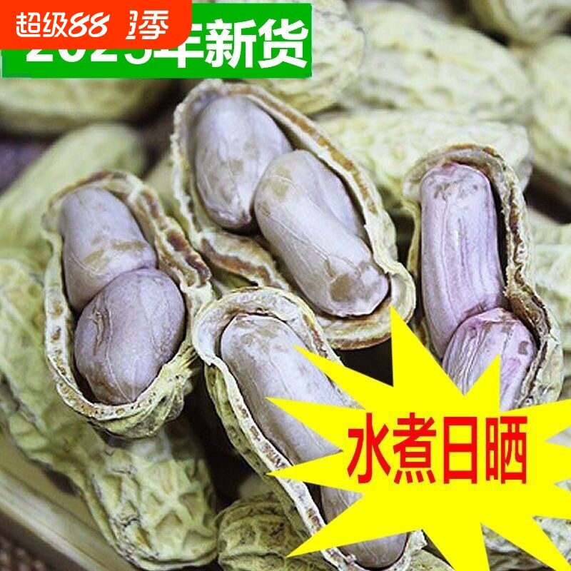 水煮花生咸干农科院新货花生龙岩带壳日晒原味蒜香湿烤炒货小零食