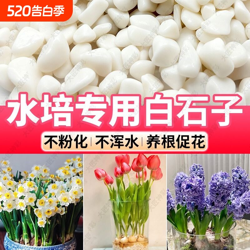 免洗精品水培白石子小颗粒鹅卵石鱼缸造景底砂盆栽铺面庭院铺路石