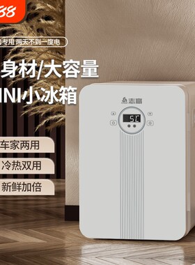 志高车载迷你小冰箱小型家用租房用制冷藏宿舍单人大容量玻璃门