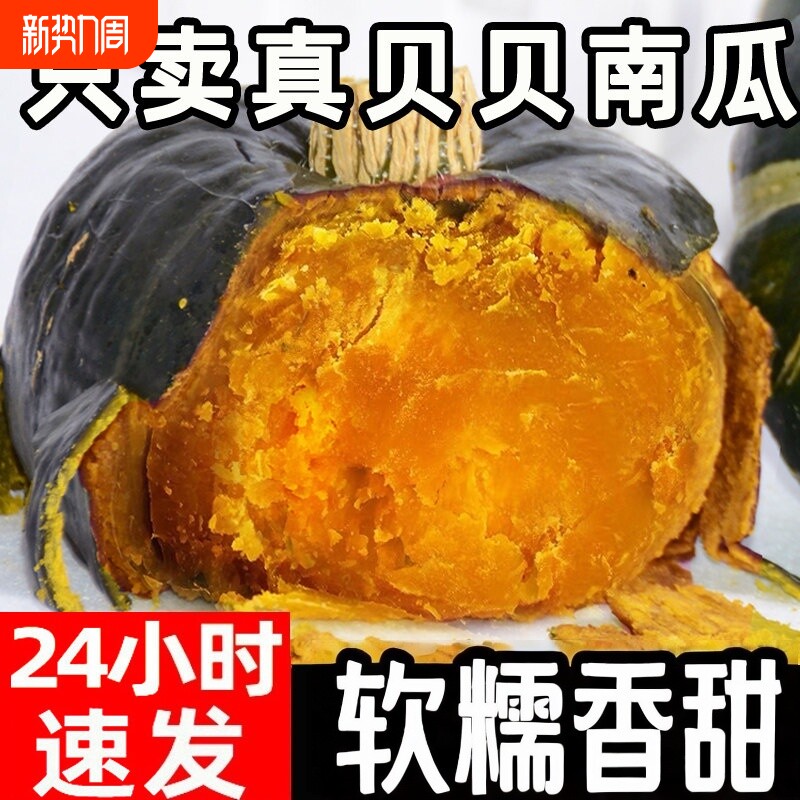 贝贝南瓜正宗板栗味老南瓜新鲜正品栗子面小南瓜婴儿甜粉糯惠和