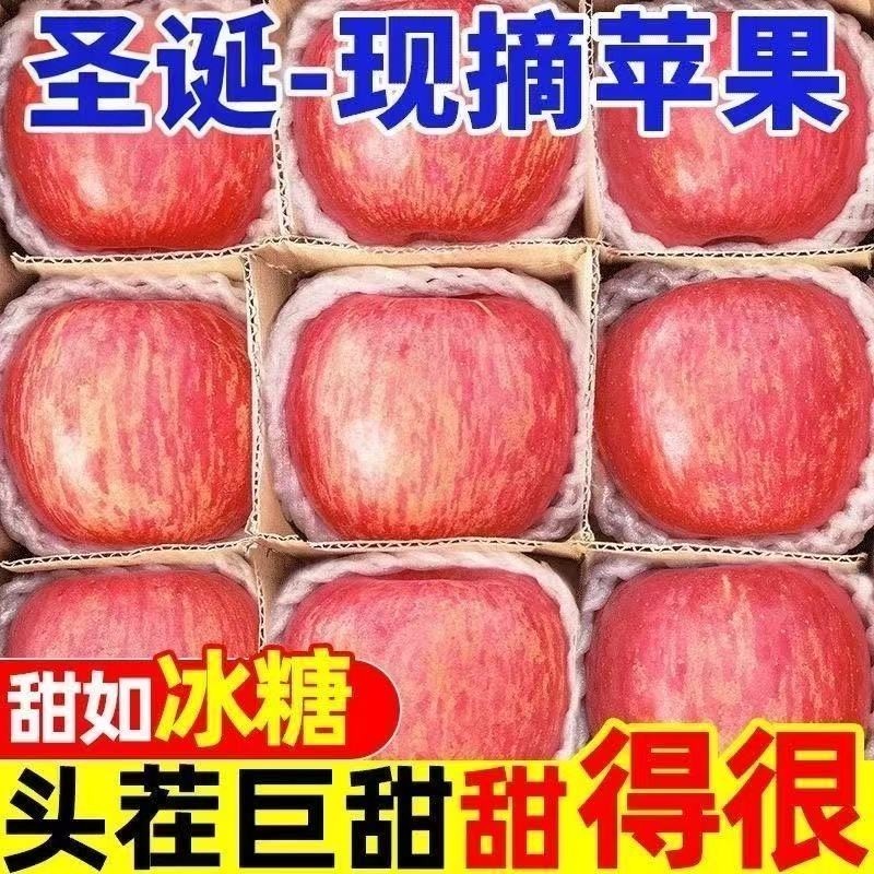 正宗山西应季红富士新鲜苹果冰糖心丑脆甜整箱当季批发水果现摘,水产肉类/新鲜蔬果/熟食,苹果,淘宝优惠券,粉丝福利购,淘宝优惠卷