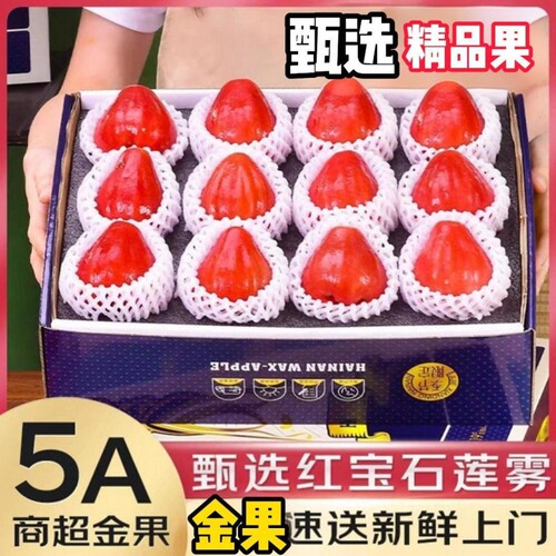 福建海南红宝石莲雾鲜果直达