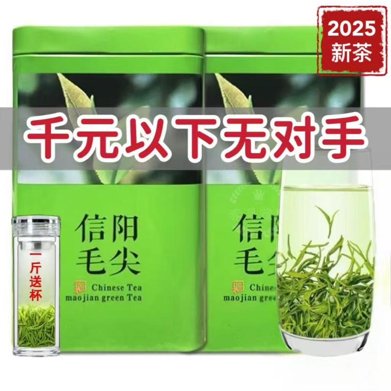 信阳新茶毛尖2025新茶明前浓香型高山嫩芽茶叶云雾绿茶罐装/500克