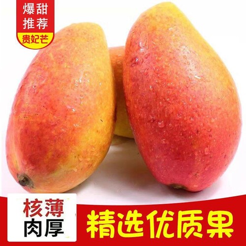 正宗海南贵妃芒芒果新鲜当季彩虹多汁产地直发大果贵妃芒果一整箱