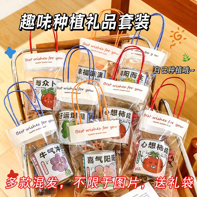 学生小礼品奖励实用DIY植物盲盒伴手儿童活动奖品幼儿园礼物种植