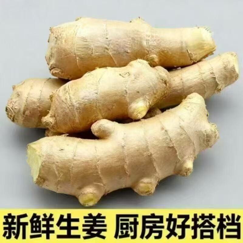 风干水洗姜生姜山东大姜发货新鲜黄姜月子姜批发姜汁红糖姜枣食用
