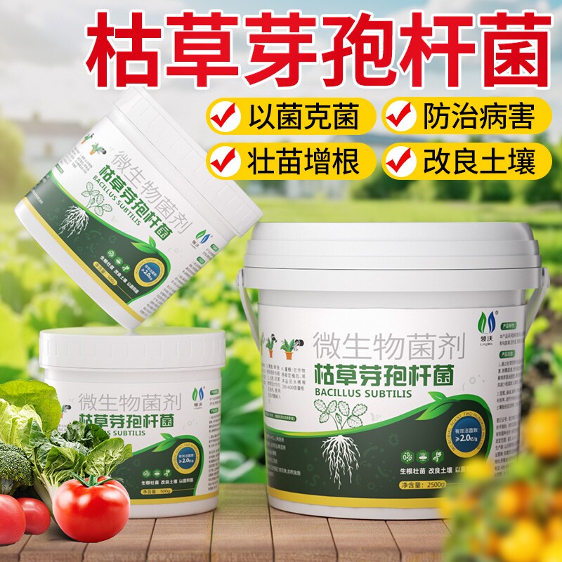 枯草芽孢菌杆菌旗舰店正品微生物菌剂月季桂兰花农用土壤有机肥料