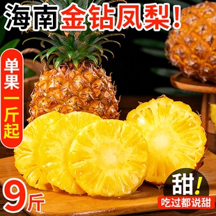 海南金钻凤梨新鲜水果树上熟芒果凤梨香水菠萝大果无眼整箱包邮