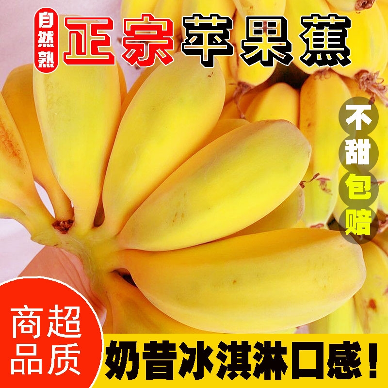 现摘正宗广西苹果粉蕉当季新鲜应季水果包邮香蕉香甜批发整箱