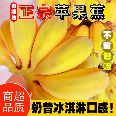 现摘正宗广西苹果粉蕉当季新鲜应季水果包邮香蕉香甜批发整箱