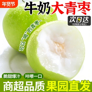 云南牛奶大青枣新鲜现摘5斤水果当季脆甜苹果枣蜜枣贵妃冬枣整箱