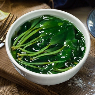 优质海带苗霞浦特色海带嫩苗批发价嫩苗火锅煲汤食材盐渍凉拌即食