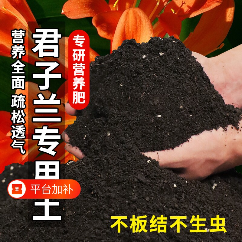 君子兰专用土花土养兰花专用营养土肥料栽种盆栽土通用型肥换盆土