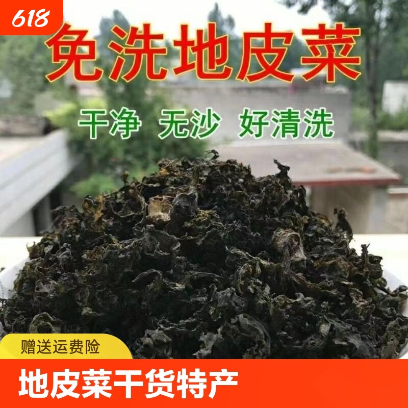 非野生地皮菜干货特产地达菜地衣地耳地曲挛干净500g干菜免洗晒干