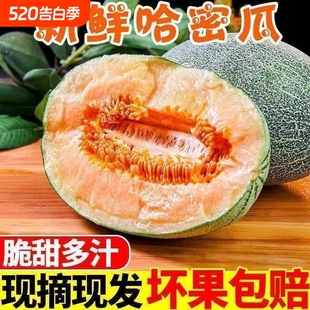 彩箱正宗海南哈密瓜小蜜25网纹西州蜜瓜