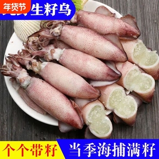 海兔子满籽笔管鱼新鲜带籽纯籽籽乌子乌小鱿鱼乌贼生鲜海鲜冷冻货