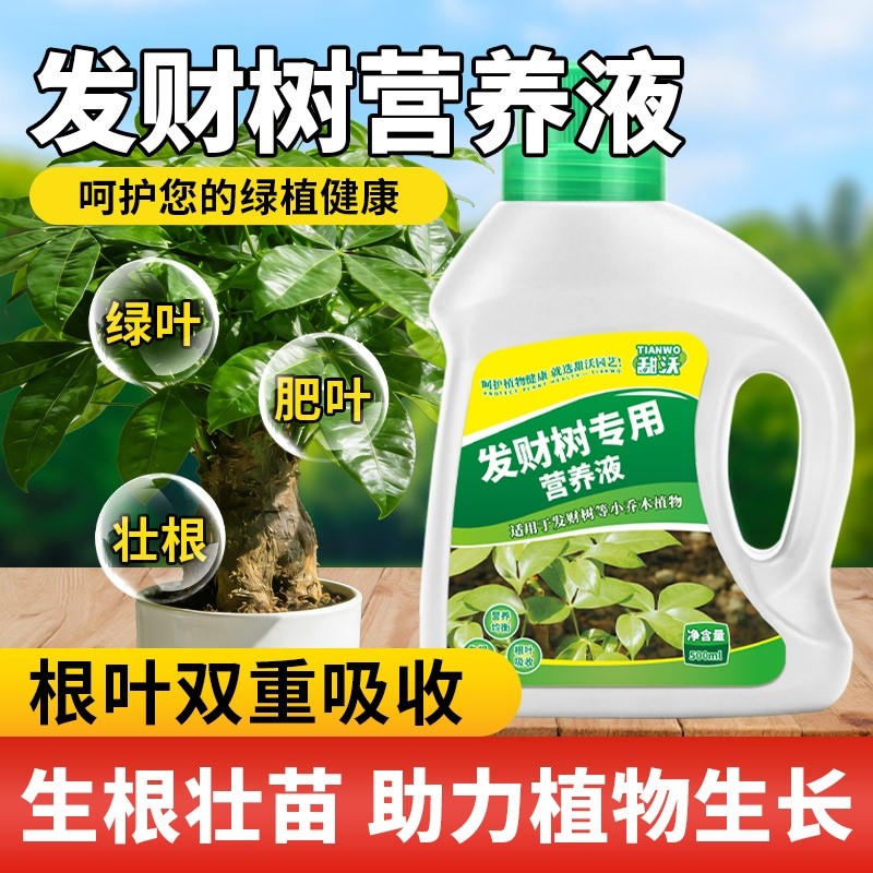 发财树营养液肥料专用肥治叶子发黄掉叶烂根室内盆栽植物花肥通用