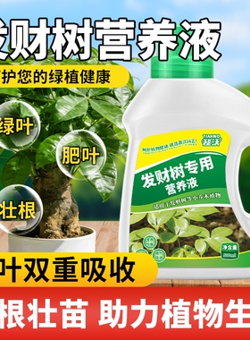 发财树营养液肥料专用肥治叶子发黄掉叶室内盆栽植物花肥通用水培