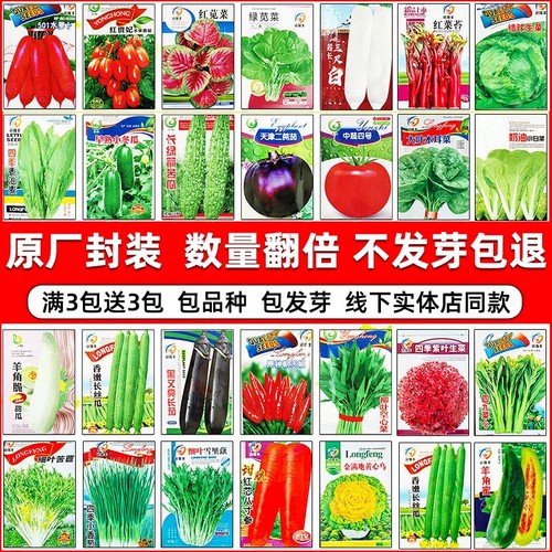 四季蔬菜种子阳台种|千人回购