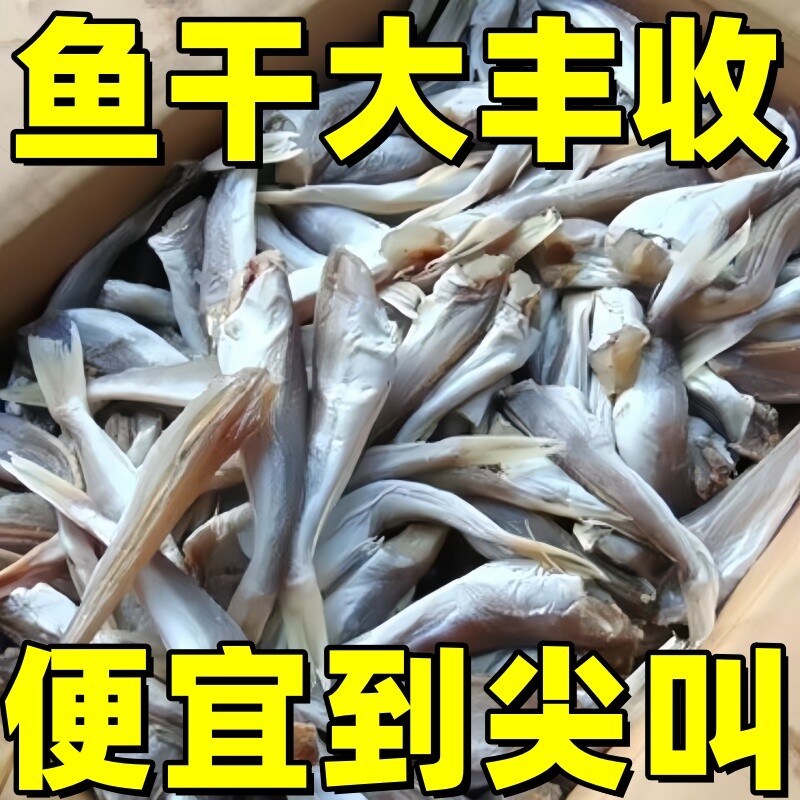 小鱼干红娘鱼干渔民自制风干无头海鱼干山东咸鱼干自晒野生红头鱼