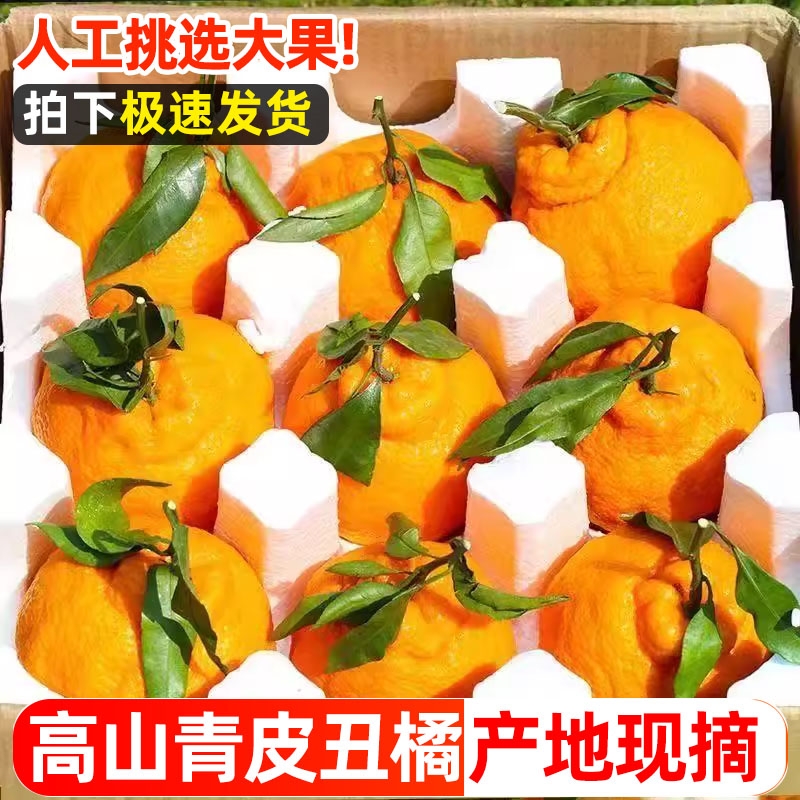 丑橘新鲜9斤橘子当季时令水果整箱包邮耙耙丑柑蜜橘桔子四阳光