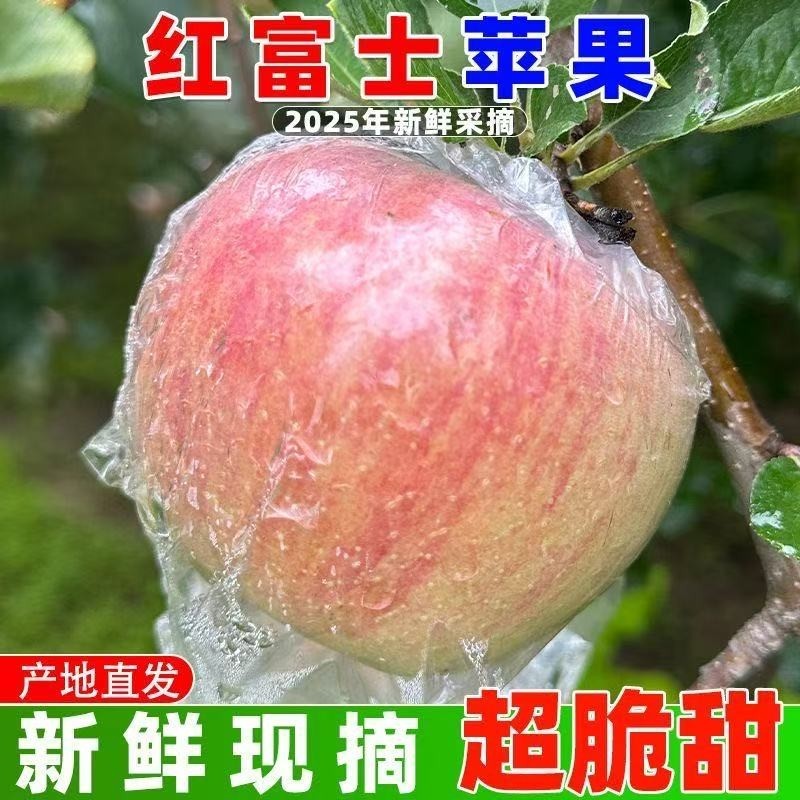 山西运城临猗冰糖心丑苹果当季新鲜现摘红富士脆甜产地直发整箱