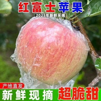山西运城临猗冰糖心丑苹果当季新鲜现摘红富士脆甜产地直发整箱
