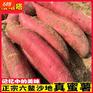 红薯新鲜西瓜红六鳌地瓜蜜薯沙地糖心番薯农家小香薯山芋烟薯红心