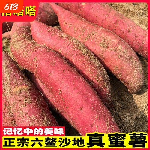 红薯新鲜西瓜红六鳌蜜薯地瓜沙地糖心番薯农家小香薯山芋烟薯红心