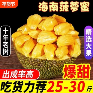 海南黄肉菠萝蜜新鲜水果包邮波罗蜜一整个整箱当季红特产包邮年货